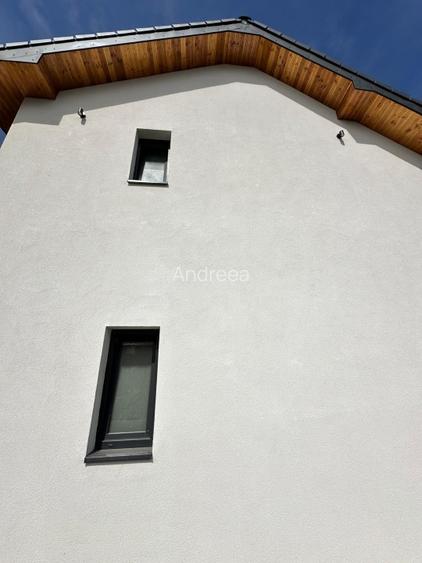 Duplex Mosnita veche - 11