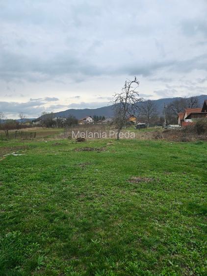 Teren si casa batraneasca Calimanesti - 3