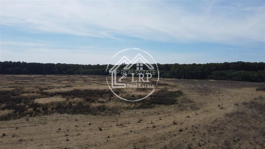 Teren Voluntari-Pipera | 3.700mp | Zonă Pădure & Școli Internaționale - 7