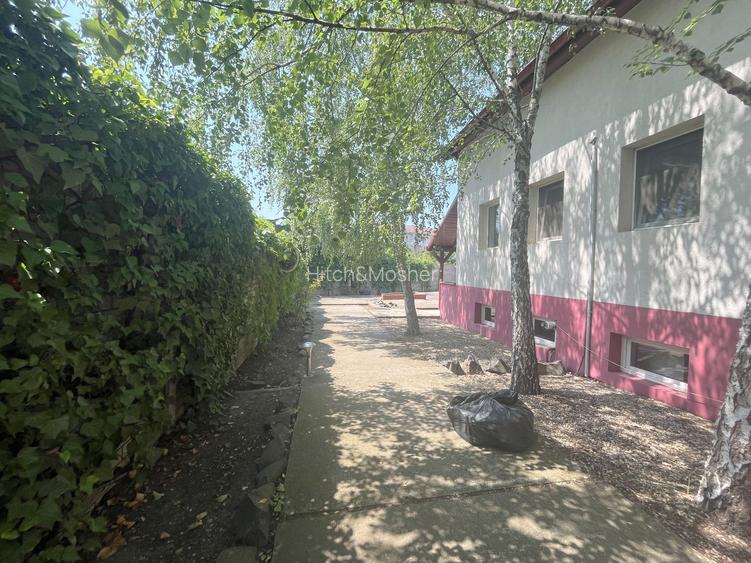 Spatiu de inchiriat -Lipovei - 4