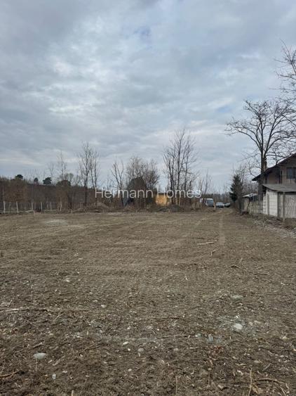 Teren Intravilan - parcelabil - 1.450 mp - Valea Avrigului - 3