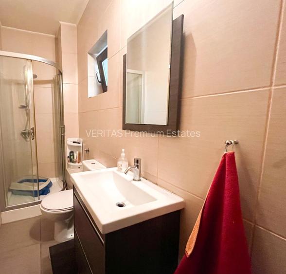 Casa superba langa padurea Baneasa, liceul Francez, metrou Paris, curte proprie - 15