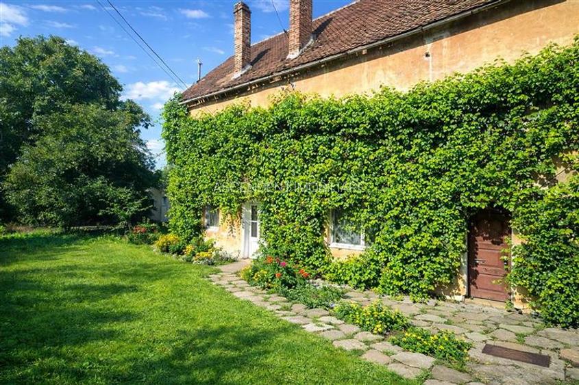 Rezidenta cu curte si gradina proprie,1.000 mp teren, Prejmer, Brasov - 10