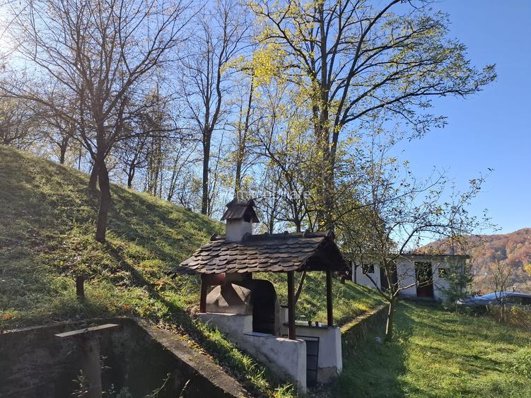 Vila Bughea de Jos - Campulung - 21