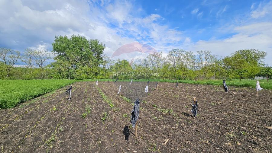 Casă  cu 3 camere, teren intravilan de 1300mp în Ipotești Tișăuți, SV - 27