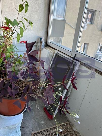 VANZARE 3 CAMERE NICOLAE GRIGRORESCU | SECTOR 3 | SALAJAN | - 8