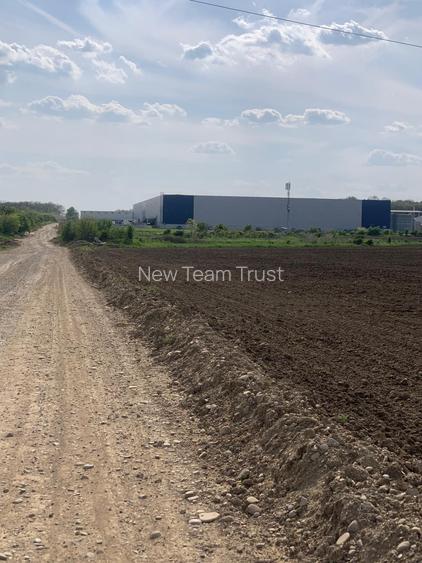 Sos de Centura Pantelimon Vanzare Teren 3,5 HA si 1, 1 HA - Cernica  25400MP - 6