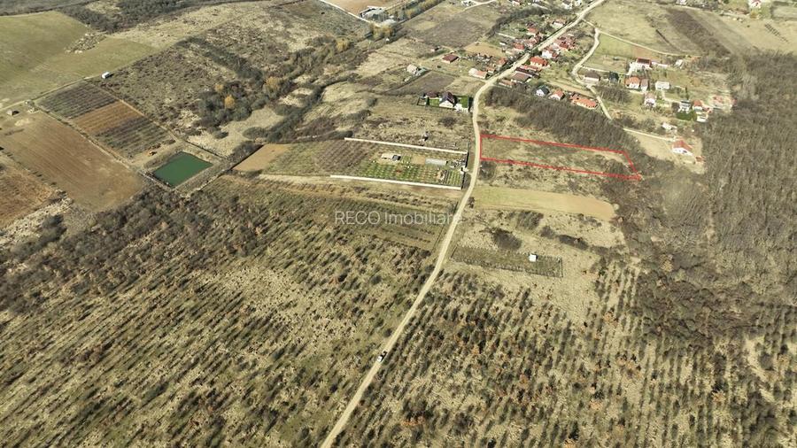 RECO Teren intravilan Paleu - 6