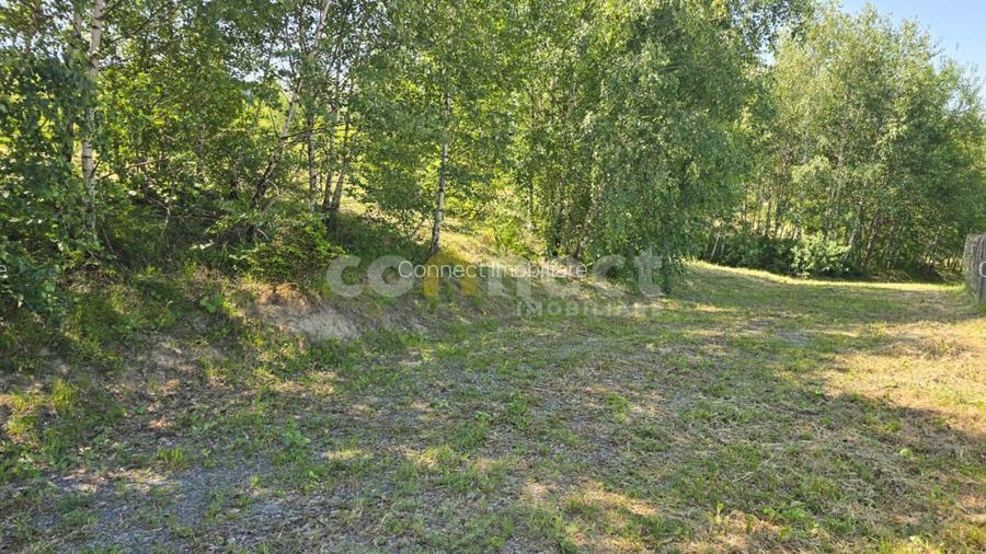 Vanzare Parcele Teren Intravilan - Cluj cu Autorizație și Utilități la Parcelă - 9