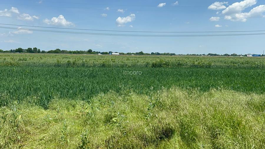 vanzare teren în Măgurele, Pruni, strada Argeș 12000 euro - 7