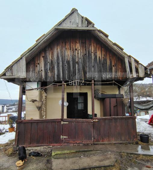 Proprietate cu 2 case, una fiind traditionala, Dezmir  - 15