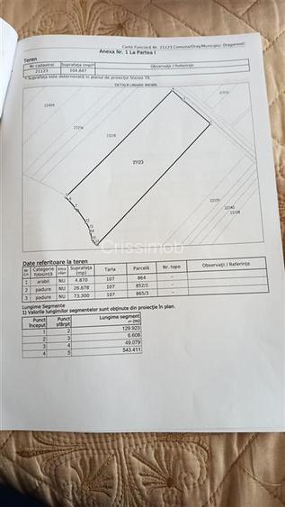Padure de vanzare zona Comuna Draganesti sat Hatcarau - 5