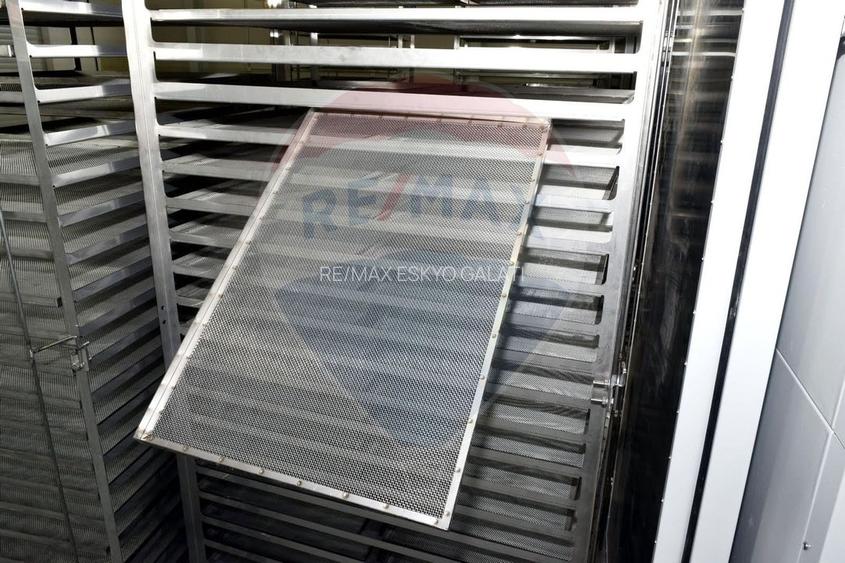 Teren agricol 13,1 ha + Hală 700 mp + Utilaje Agricole - Piscu, Galati - 13