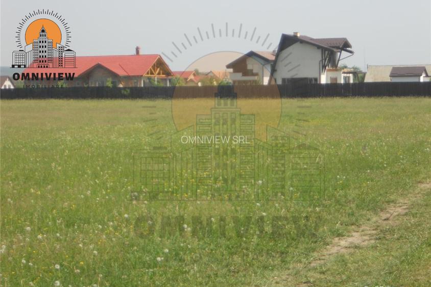 Teren Intravilan 8.000 mp Parcelat, Utilități Disponibile, Podul Olt – Brașov - 2