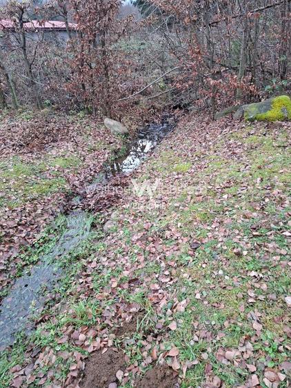 Teren deosebit pozitionat, cu livada, langa padure,  pe Valea Avrigului - 3