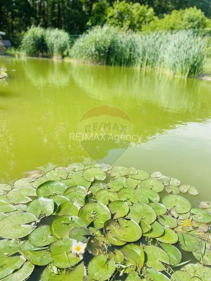 Vilă de vânzare Padurea Snagov - 16