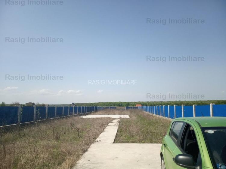 Teren intravilan 1187 mp , strada asfaltata , utilitati  - 5