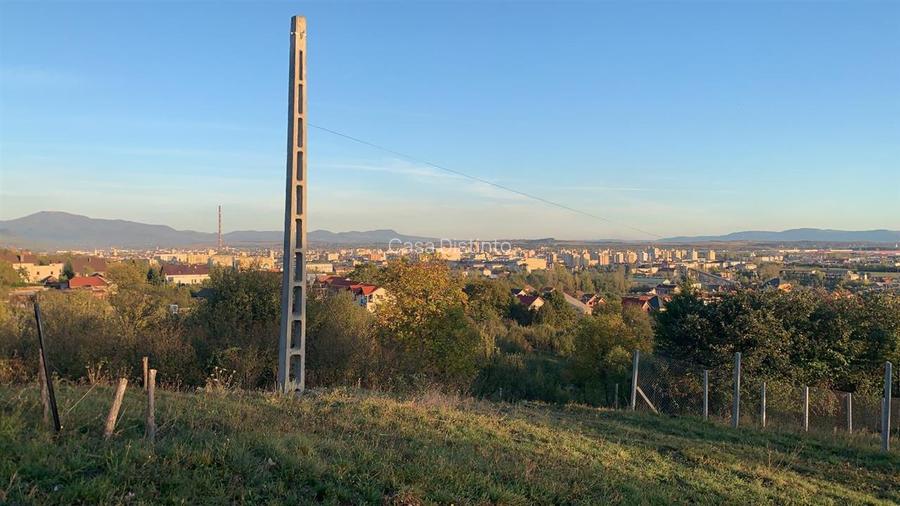 Teren 24 de ari zona Miron Costin - 5