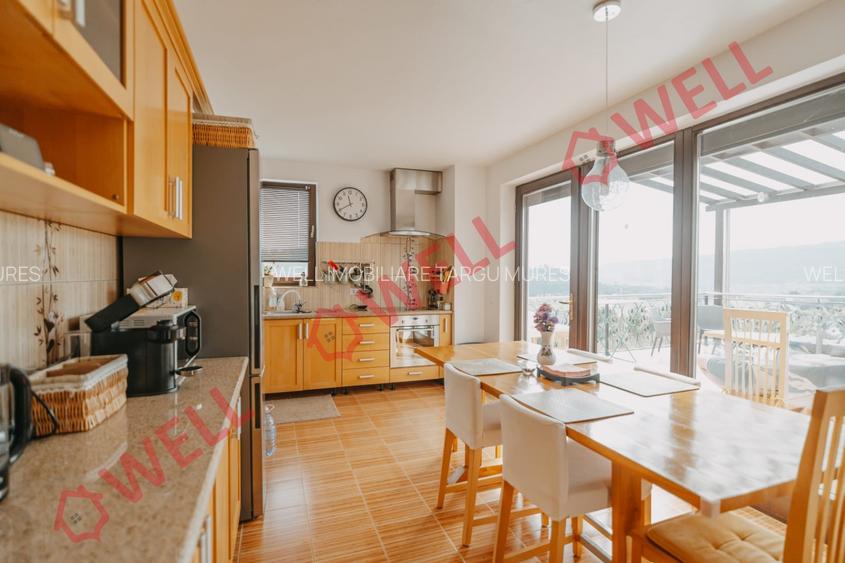 DE VÂNZARE CASĂ FAMILIALĂ, SOVATA - 13