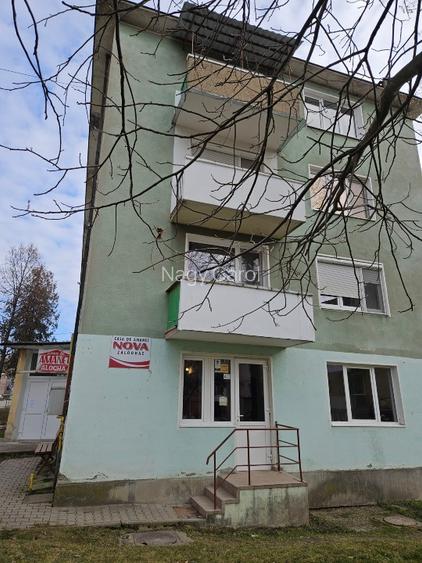 Apartament excelent pt CASA DE AMANET , SCHIMB VALUTAR , birouri - 6