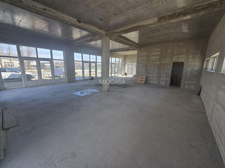 Braytim. Langa Uzina de Apa. La asfalt. - 2