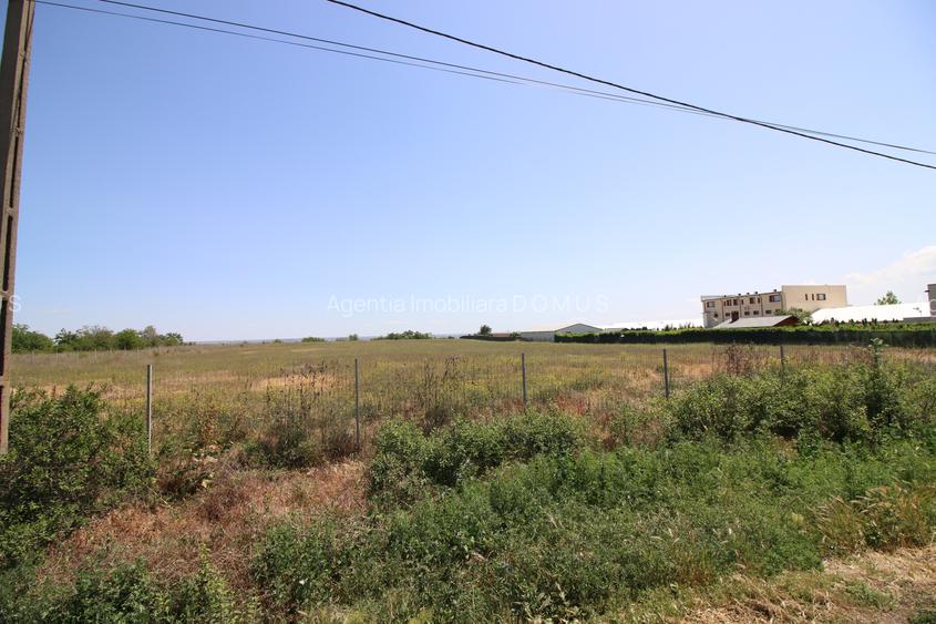 Teren 12000 mp  DN26  deschidere 68 m, 65euro/mp - 4