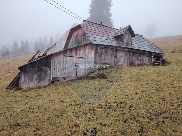 Teren intravilan 26232m.p.  Dorna-Arini / Cozănești - 6