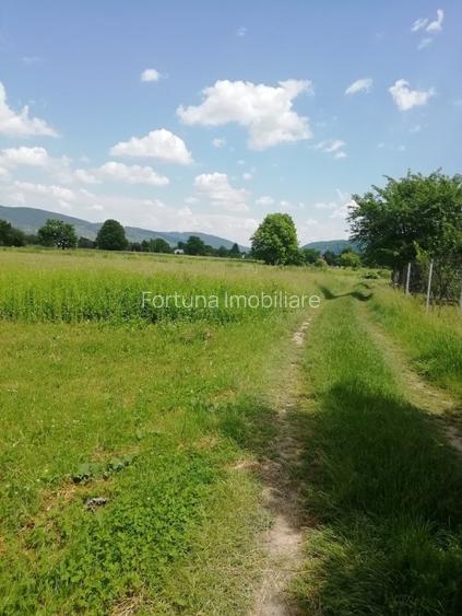 Teren Vaduri, com.Al.cel Bun - 4