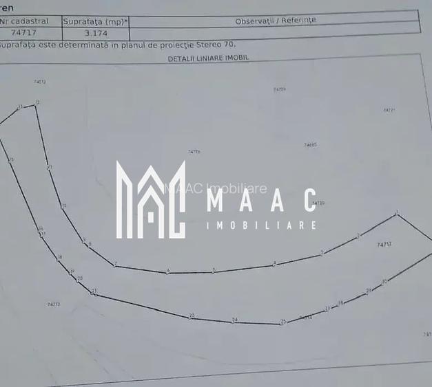 Teren cu potențial turistic I 3174 MP | TransApuseana - 4
