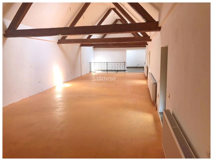 Spațiu de birouri sau productie Cristian - 4