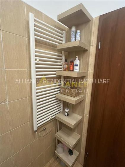 Titan Garsoniera de vanzare Mobilata si Utilata Bloc 2009 - 6