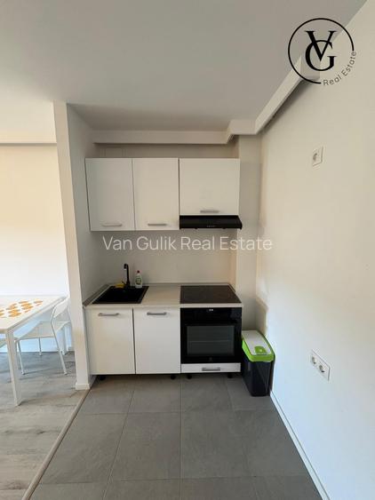 Studio dublu I H Pipera Lake - 2