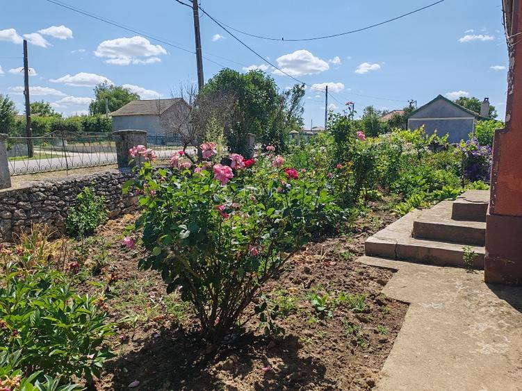 De Vanzare Casa la tara in localitatea Movila Verde la 50 km de Constanta - 16