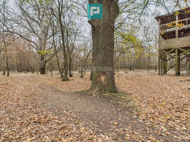 Teren pe malul Muresului- oportunitati multiple - 15