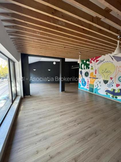 Spatiu  Stefan Cel Mare S P 1 supr 215 mp - 11