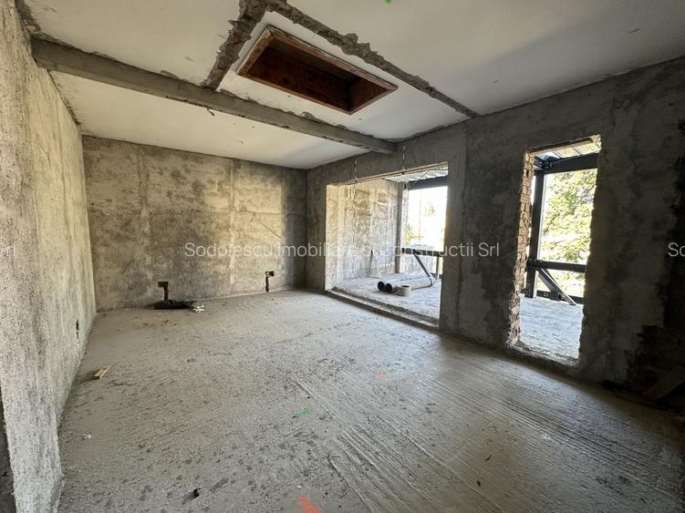 Proiect deosebit zona Medicina / Isho - 16