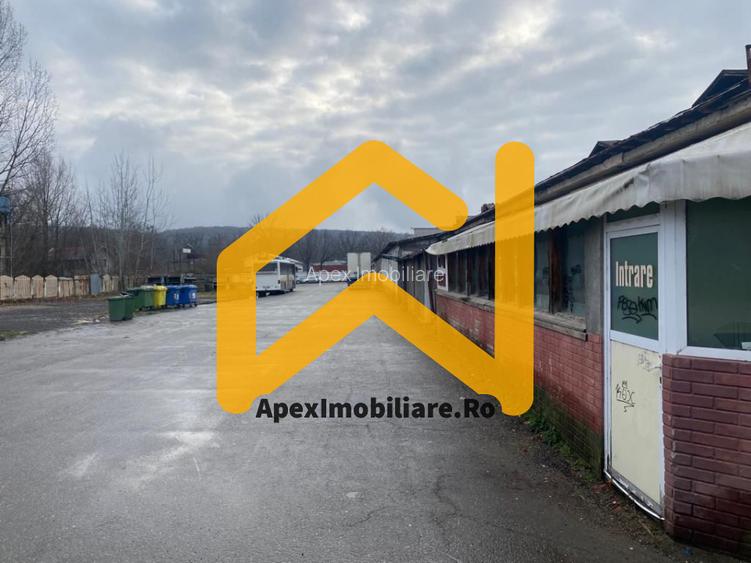 Hale Industriale de Vânzare Baicoi – 1100 mp + 800 mp, teren 5500 mp - 8