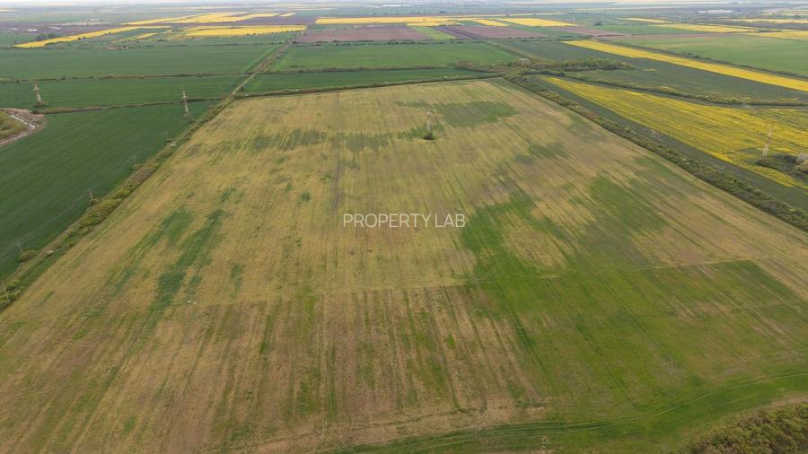 Teren investițional strategic 44.700 mp Arad Vest - 9