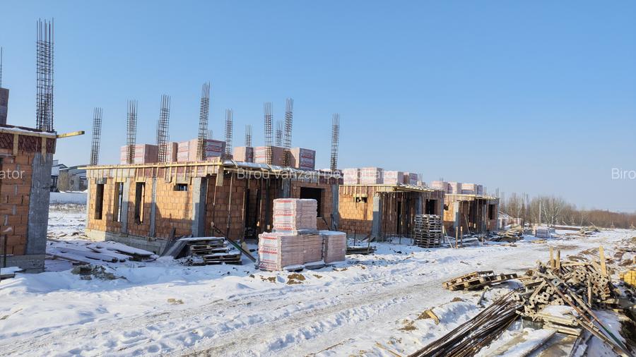 Vile individuale padurea Rosu  - 12