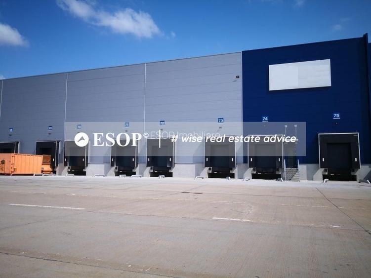 Logicor Mogosoaia - Hale / Spatii Depozitare / Logistice, 0% comision - 2