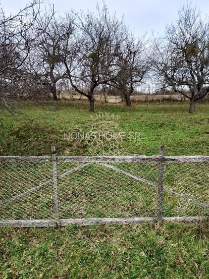 Teren 3966 mp-2 deschideri-curent-investitie-Budacu de Sus - 2