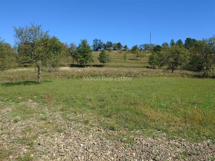 Teren intravilan 8757 mp cu acces direct la E79 - 8