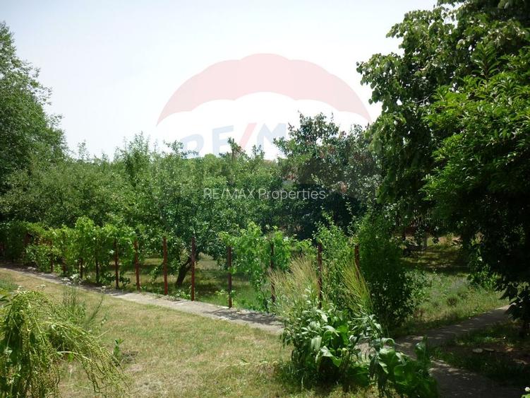 Casa de vacanta langa lacul Snagov / Teren 1922mp / Ciofliceni - 10