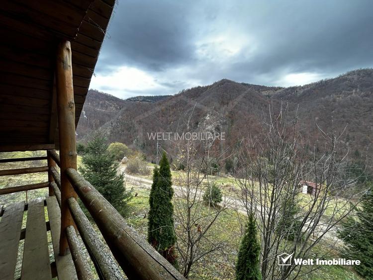 Oportunitate unica! 5ha + 2 cabane de vacanta in Valea Ierii - 17