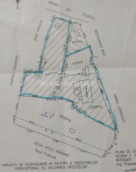 Teren intravilan construcții 6264 mp + construcție tip cabană lemn - 16