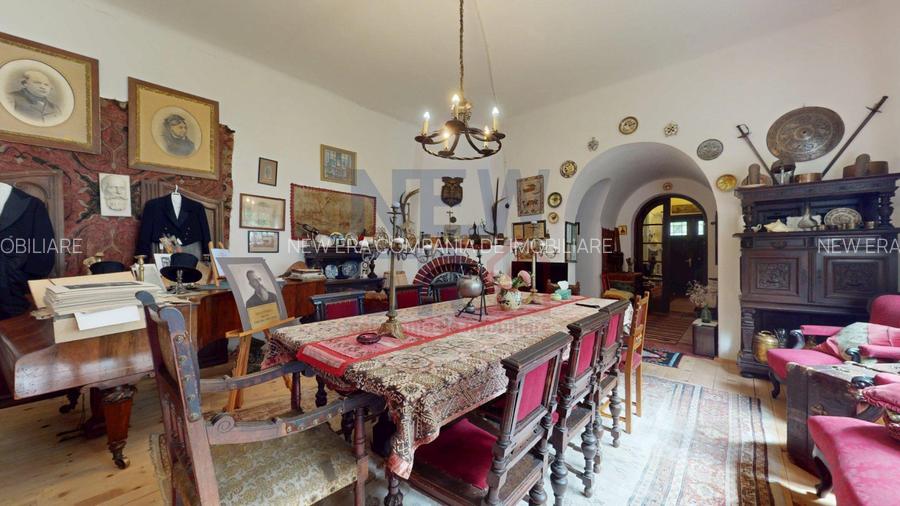 CONACUL GEORGE STEPHANESCU - 3