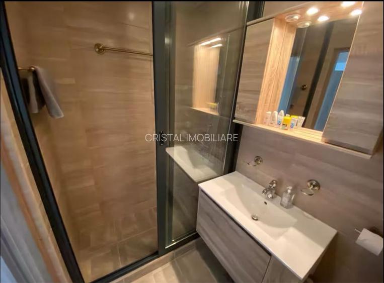 Apartament 2 camere de închiriat Tineretului - 4