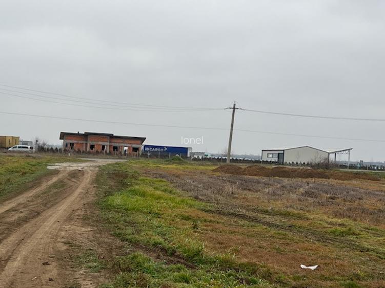 Teren intravilan 2000 mp-deschidere 27m la DJ200-Dascalu - 2