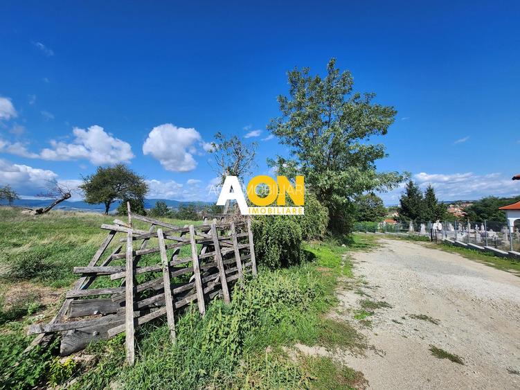 De vanzare 2965 mp teren intravilan, toate utilitatile, Oarda de Sus - 10