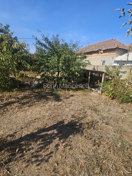 Proprietate imobiliara casa și teren în Criva de Sus - 15